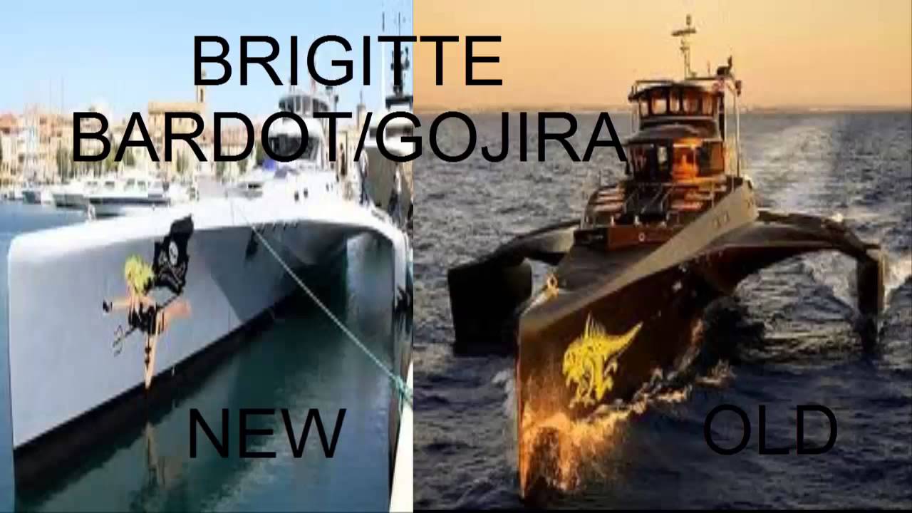 The Sea Shepherd Fleet - 2013