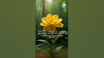 #قرآن #اكسبلور #اكسبلور #تلاوات_خاشعة #قران_كريم #قران #love