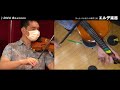 フレットバイオリンの演奏 ♪DNA Bourees