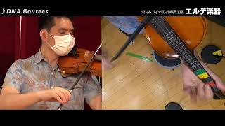 フレットバイオリンの演奏 ♪DNA Bourees