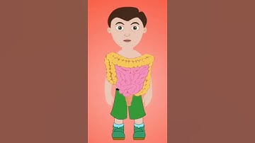 Dấu hiệu nhận biết cơ quan nội tạng có vấn đề | Kiot sức khỏe Việt