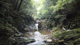 今年最後の渓流釣り｜２０２０年