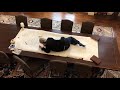 How I Write