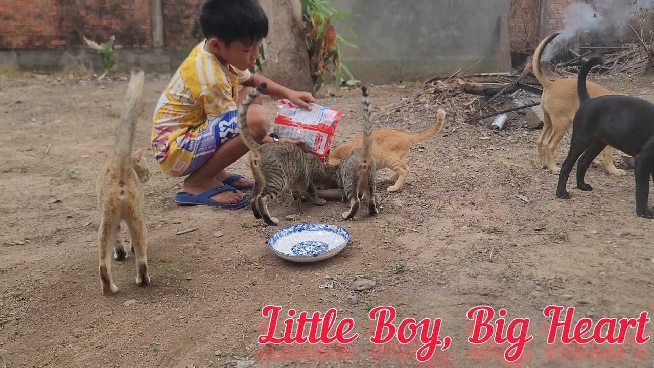 A Little Boy, A Big Heart | Learning to Feed Our Animals