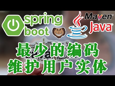企业级开发技术 Java 和 Spring - Spring Data JPA 开发 - 最少的编码维护用户实体