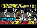【海外の反応】「まだ小学生だって!?」🇩🇪世界最高峰の舞台で日本の子どもに観客騒然…
