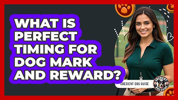 What Is Perfect Timing For Dog Mark And Reward? - Obedient Dog Guide
