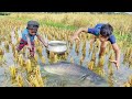 Amazing hand fishings  village smart boys catching fish by hand in rain water bestfishing