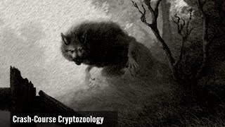 The Truth Of The First Dogman Report