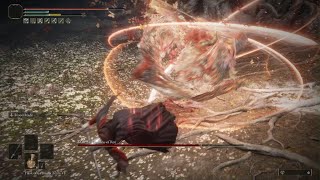 ELDEN RING: Malenia no buffs no armor