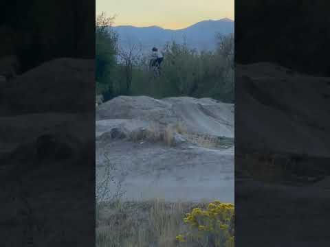 HUGE MTB CASE