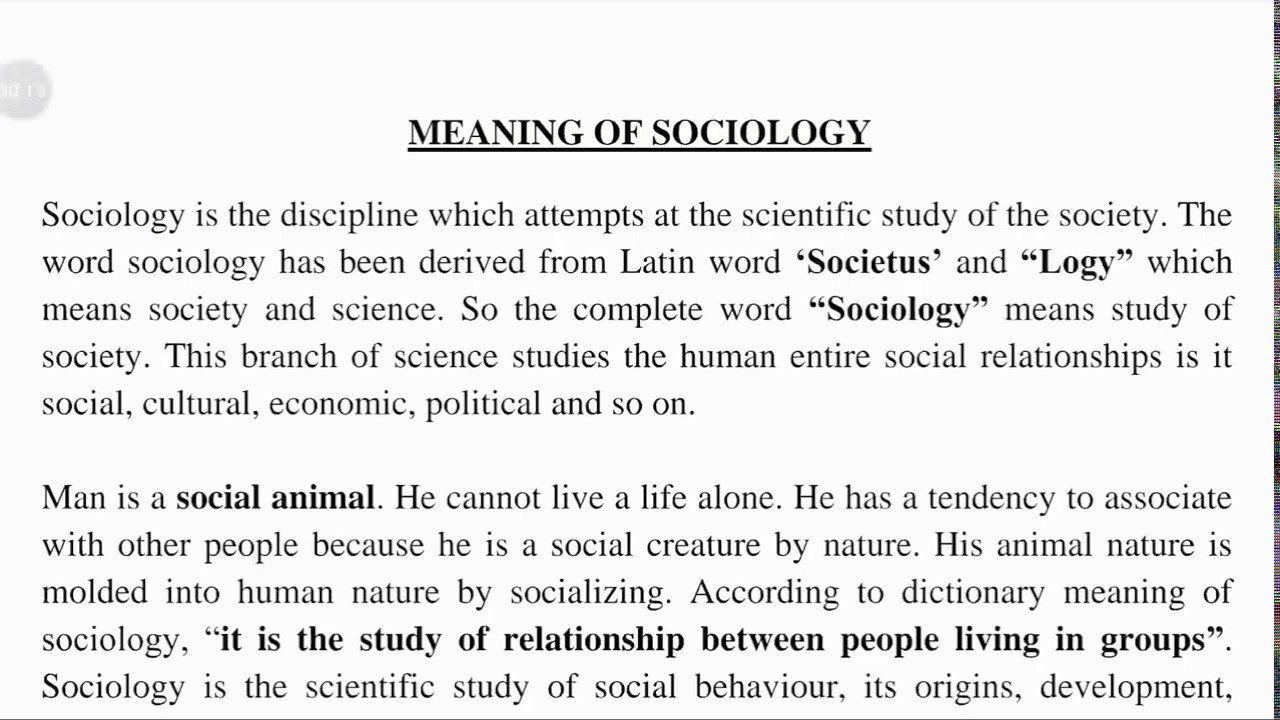 what is society in your own words essay