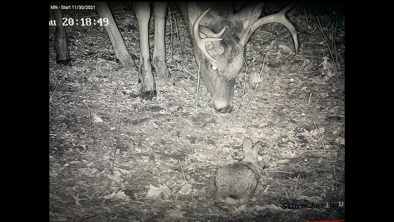 🔴 LIVE Cheyenne Wells, Colorado area storm chase 4/22/2022 IRL YouTube