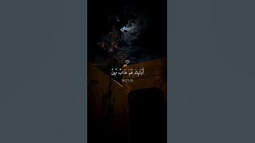 القارئ ماهر المعيقلي // اكتب شيء تؤجر عليه ❤️😴