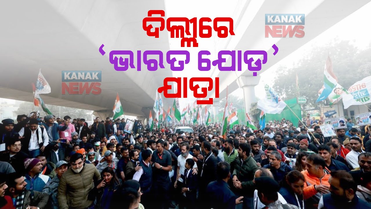 Congress' Bharat Jodo Yatra Enters Delhi; Crowd Includes Politicians, Actors