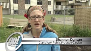Cranbrook Garden Tour