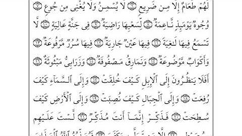 القارئ أحمد بن علي العجمي سورة الغاشية