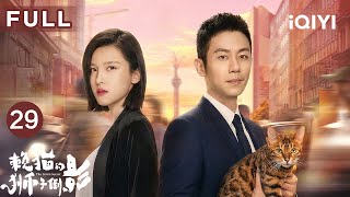 Download Lagu 【FULL】朱亚文必看都市剧💓隐退大佬闪婚高冷女总裁杨子姗，看“受气小娇夫”如何变身战神护妻打脸！|赖猫的狮子倒影 EP29 The Lion's Secret | 爱奇艺华语剧场 MP3