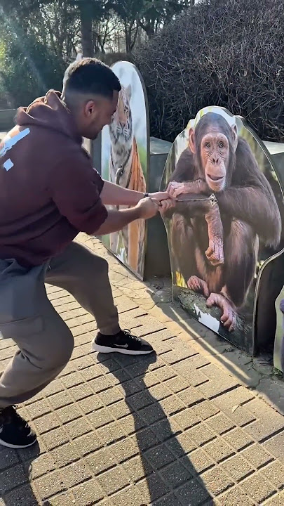 Humans vs. Animals Strength Test