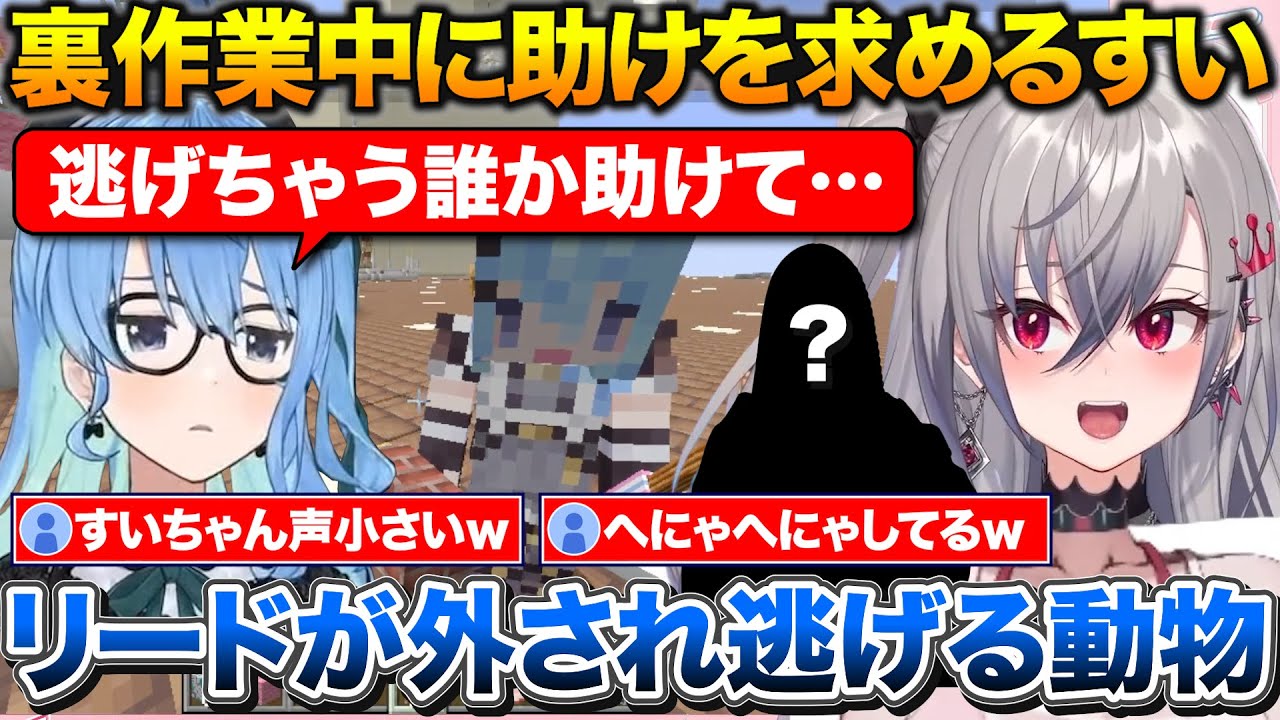 助けを求めるすいちゃんと現場に戻ってくる犯人+トワ様が自分の事好きかもと勘違いするりおーな【ホロライブ/響咲リオナ/常闇トワ/星街すいせい/虎金妃笑虎】