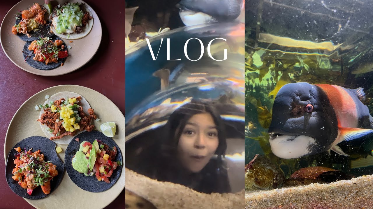 EXPLORING DENVER’S AQUARIUM Sharks in Denver Day Date Idea in