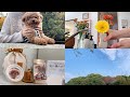 Taruちゃんのお骨のこと。