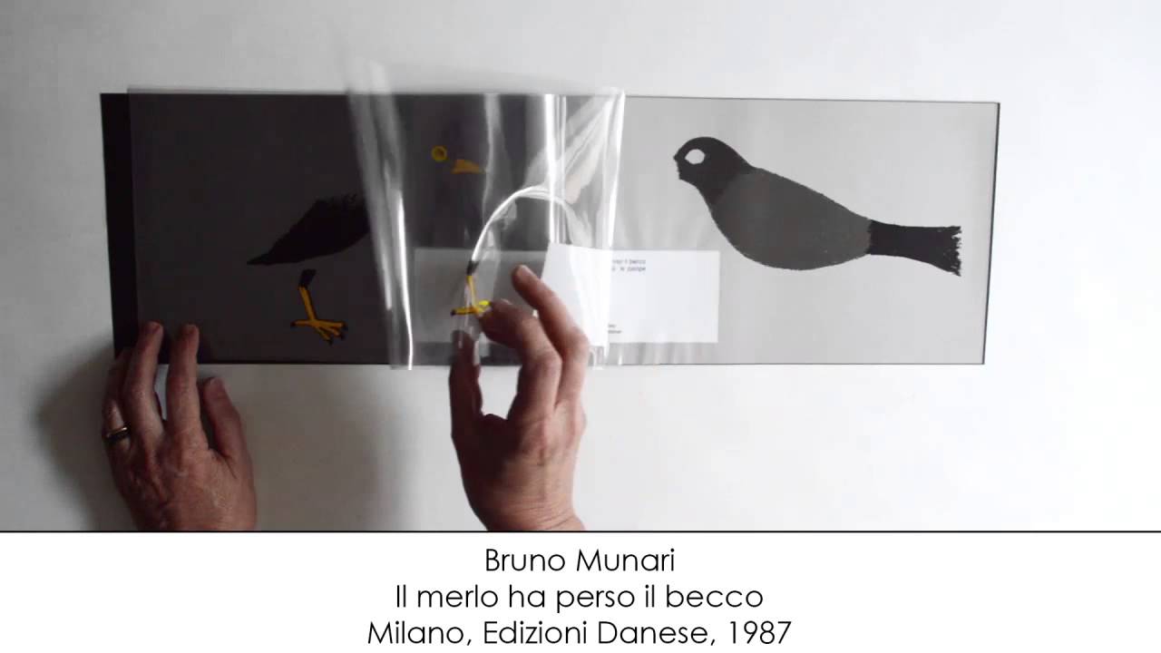 il merlo ha perso il becco