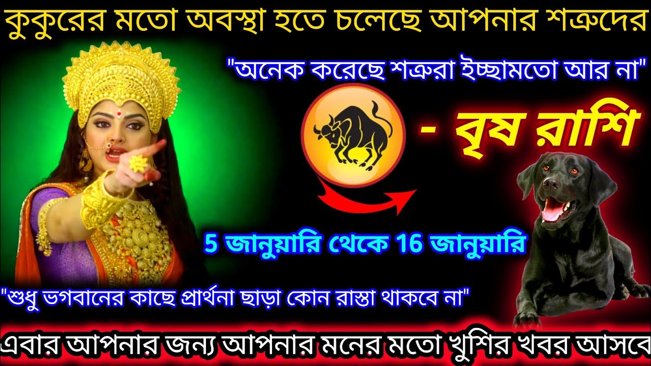 বৃষ রাশি♉কুকুরের মত অবস্থা হতে চলেছে শত্রুদের | ইচ্ছামতো খুশির খবর | 5 January - 16 January 2026
