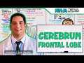 Neurology | Cerebrum: Frontal Lobe Anatomy & Function