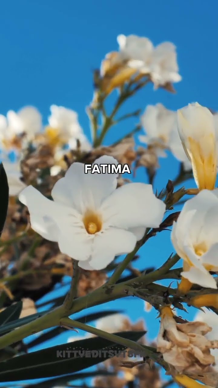 5 MOST BEAUTIFUL GIRL NAME IN ISLAM PART 1 love ALLAH muhammad 5 MOST BEAUTIFUL GIRL NAME IN ISLAM PART 1 love ALLAH muhammad
