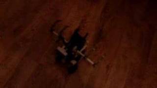 MothBot v2.1