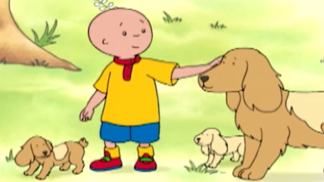 Caillou auf Deutsch neue Folgen ★ Caillou und Hunde ★ HD 2018 ✔