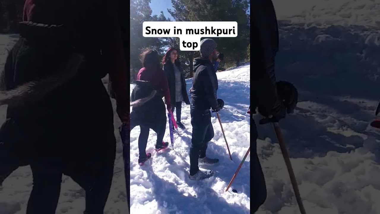 Mushkpuri Top | Hiking with Yashfa and Yusra | Mushkpuri Donga Gali Track Guide Vlog 2024