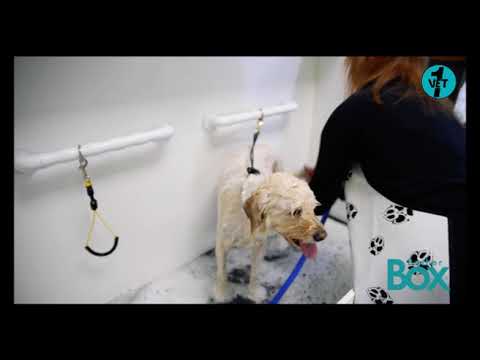 Bather Box System Dog Washing System Youtube Bather Box System Dog Washing System Youtube