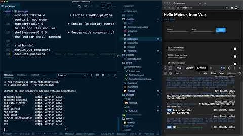 28: [Meteor + Vue] accounts-password