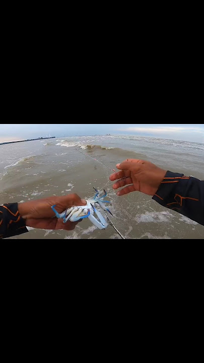 puukat ketam nampak ekor ikan besar #fishing #crab#fish #pukat #ketam