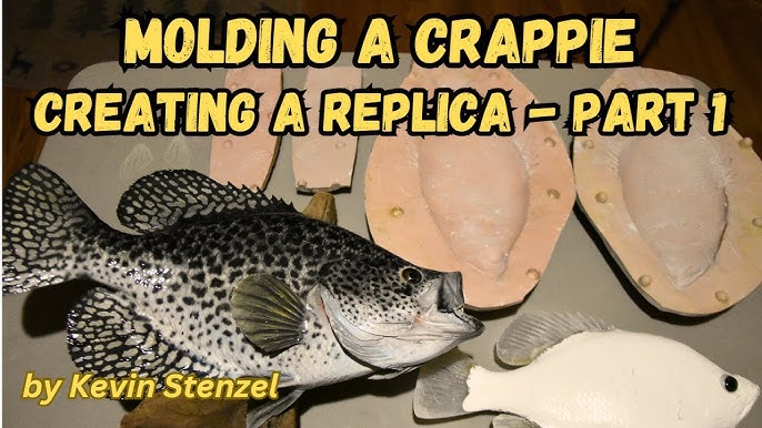 Taking Photos for Your Replica Fish Mount - Coastal Angler & The