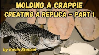 How to Mold a Crappie for Replica Fish Mount Reproduction Taxidermy