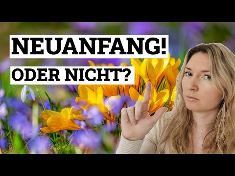 Neuanfang wagen: dieses
