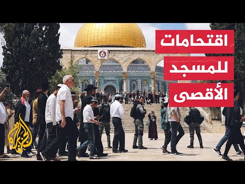 بعد مضايقة الاحتلال للمرابطات.. حماس تدعو لشد الرحال إلى ساحات الأقصى