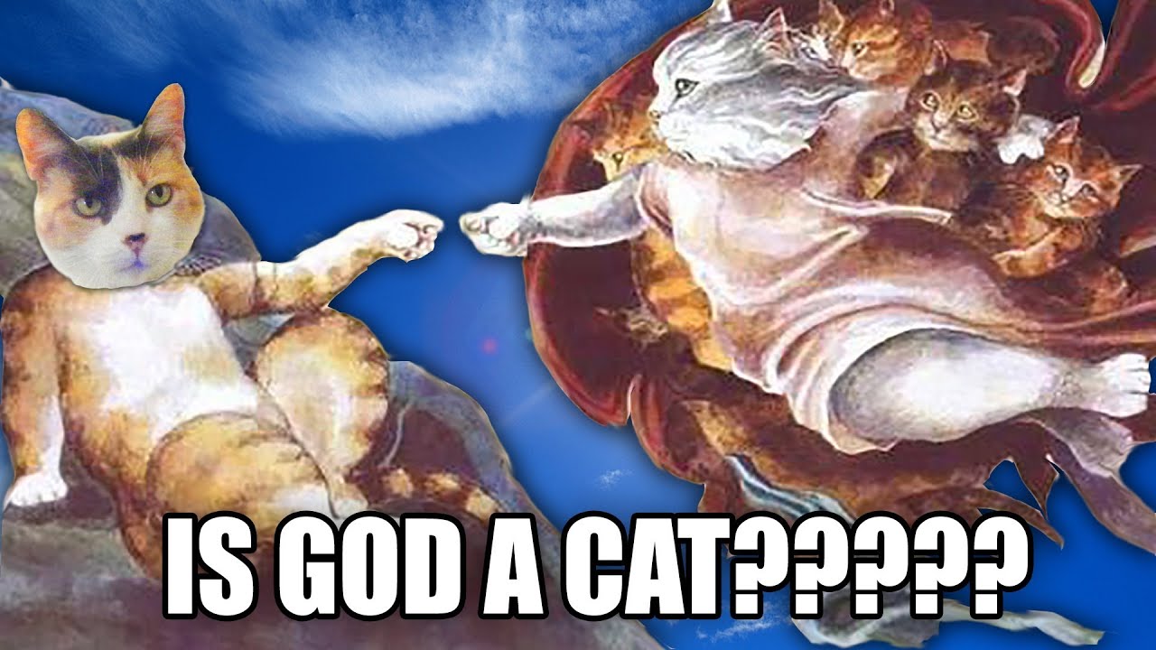 Ask CC Is God a Cat? Who Let The Dogs Out? & More! YouTube