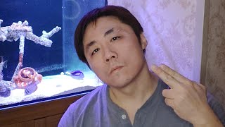 我爱我伟大的党！！