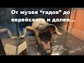 От музея “гадов” до еврейского и далее...