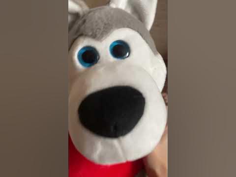 Голопопики😂🤣 - YouTube