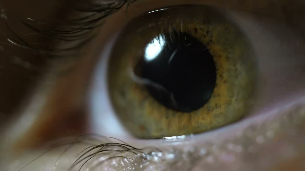 4K Eye Footage [FREE TO USE]