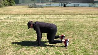 Bear Crawl Quad Extension