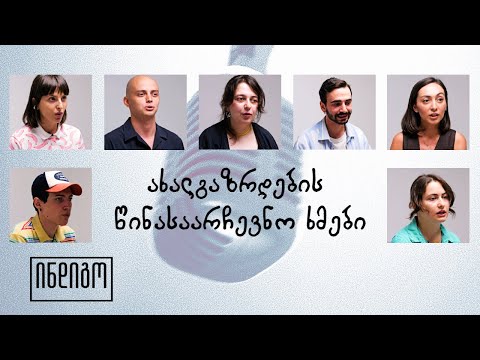 ახალგაზრდების წინასაარჩევნო ხმები