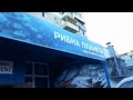 Рыбный магазин на Парковой 14 в г. Черноморске (Ильичевске).