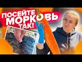 ВЗОЙДЕТ ЛЮБАЯ МОРКОВЬ! Посев на богатый урожай