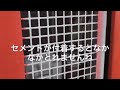 国際科学工業株式会社《セメント除去剤》泡でシュワと！手軽に素早く洗浄‼️